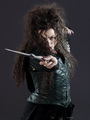 Bellatrix  - harry-potter photo