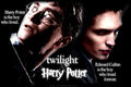 Harry Potter vs Twilight - harry-potter-vs-twilight fan art