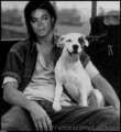 MJ - Photoshop - michael-jackson fan art