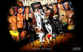 wwe - Money in the Bank - Wrestlemania 26 wallpaper
