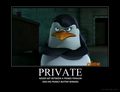 Private Motivator - penguins-of-madagascar fan art