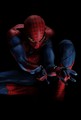 The Amazing Spider-Man  - andrew-garfield photo