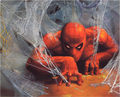 web of spider-man - marvel-comics photo