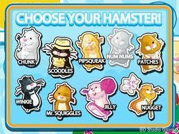  zhu zhu pets in summer my favorite seson! choose your next zzp  bff and have fun!