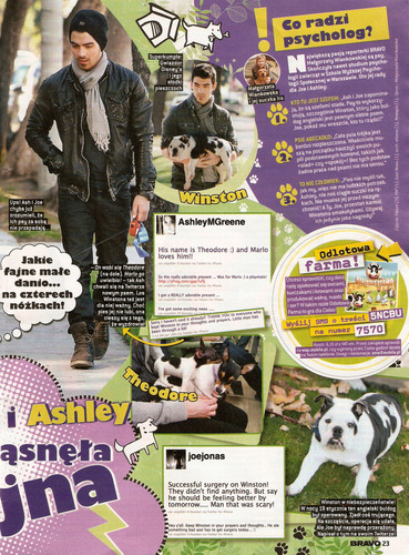 Ashley and Joe in 'Bravo' magazine! (February 2011).