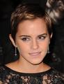 Emma Watson Harry Potter premier Pt4 - emma-watson photo