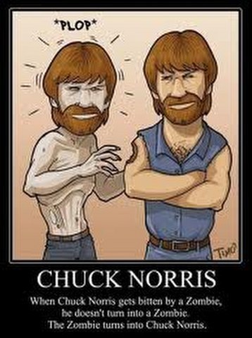  Funny claims..Chuck Norris xD