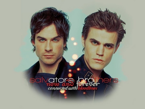 Ian & Paul As Damon & Stefan ♥