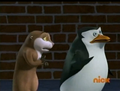 penguins-of-madagascar - Marlene Say Whaaaaat? screencap