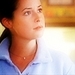 New charmed icons ♥ - charmed icon