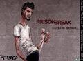 PRISON BREAK - prison-break photo
