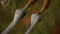 alpha-and-omega - Paw in paw. screencap