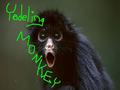 Yodeling Monkeys - random photo