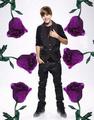 justin purple rose - justin-bieber fan art