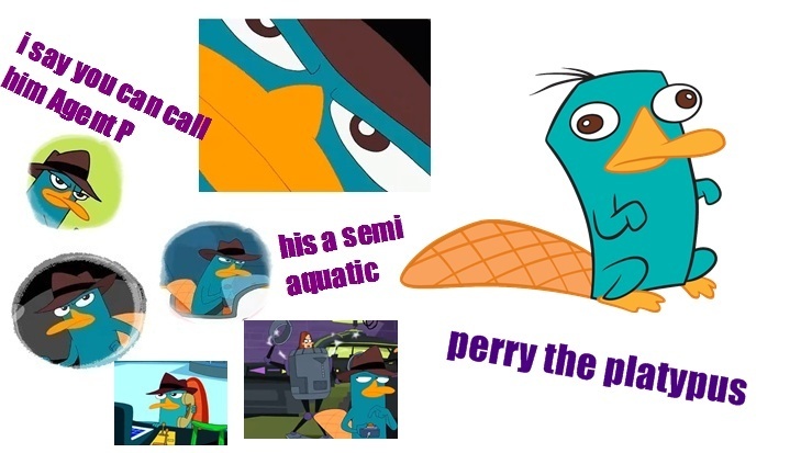 perry - Phineas and Ferb