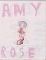 Amy Rose. Yes, I drew this - amy-rose fan art