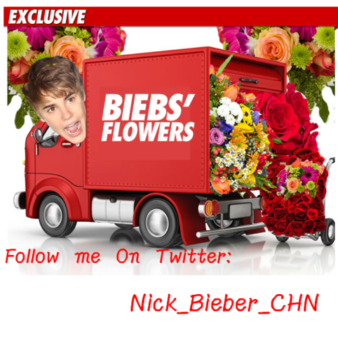  Bieber BUYS OUT 花 ショップ for Selena Gomez
