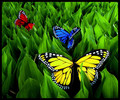 Butterflies - daydreaming photo
