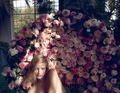 Dreamer and roses - daydreaming photo