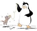 Playing with Maxi the Kitten - penguins-of-madagascar fan art