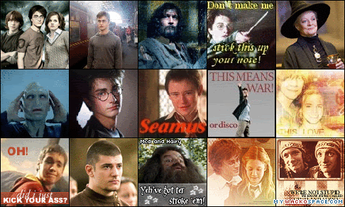  Potter characters collage 2