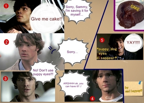  Sammy wants cake