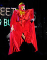 The Monster Ball Tour , New York 2/21 - lady-gaga photo