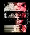 Twilight ♥ - twilight-series fan art