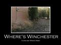 Where's Winchester? - supernatural fan art