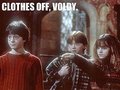 Yep. Come on Voldy - harry-potter photo