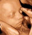 3d ultrasound 25 weeks Baby - video-sharing photo