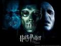 Death Eaters... and Voldemort - harry-potter photo