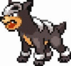  Dotted Houndour