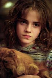 Hermione Granger through the movies