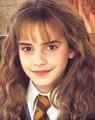 Hermione Granger through the movies - hermione-granger photo