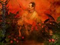ian-somerhalder - Ian Somerhalder wallpaper