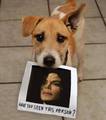 MJ and a dogie haha - michael-jackson photo