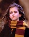 Miss Granger - hermione-granger icon