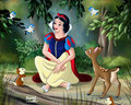 Walt Disney Fan Art - Princess Snow White - disney-princess fan art