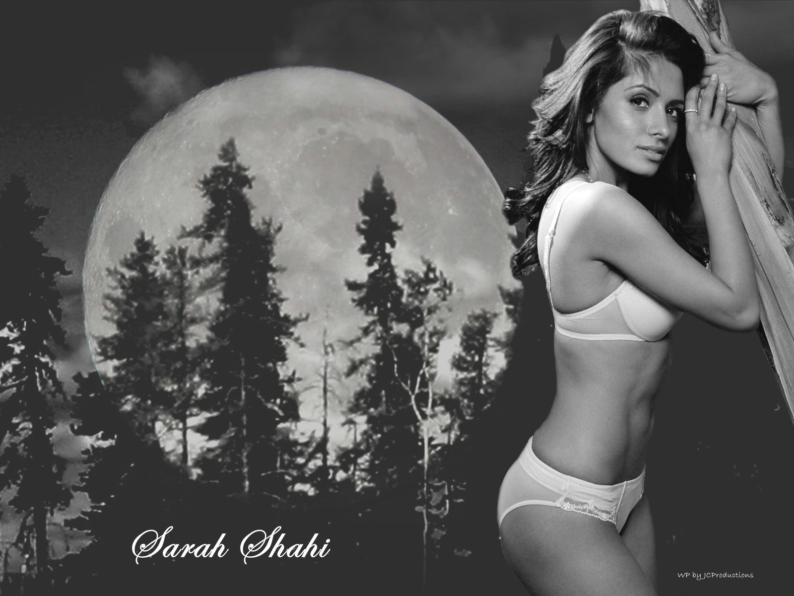 Sexy sarah shahi