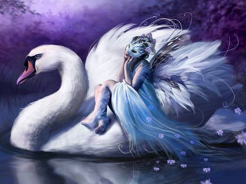  angsa, swan