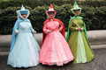 The Three Fairies - disney-princess photo