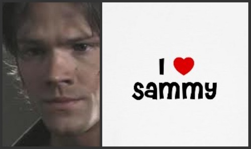  i ♥ Sammy