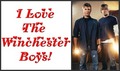 i ♥ the Winchester Boys  - supernatural fan art