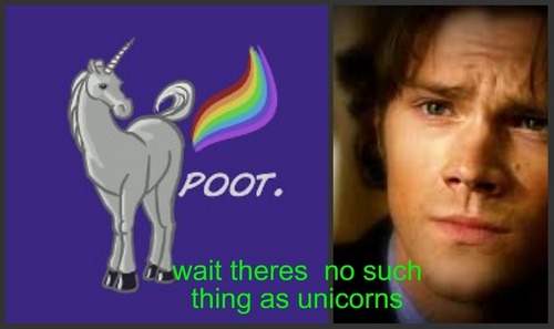  wait there no such thing as unicorni