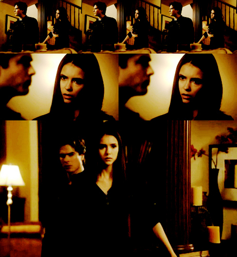  Damon & Elena (2x16)