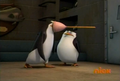 penguins-of-madagascar - Fail Kowalski, Fail screencap