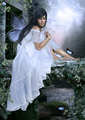 Fairy Stream - fairies photo