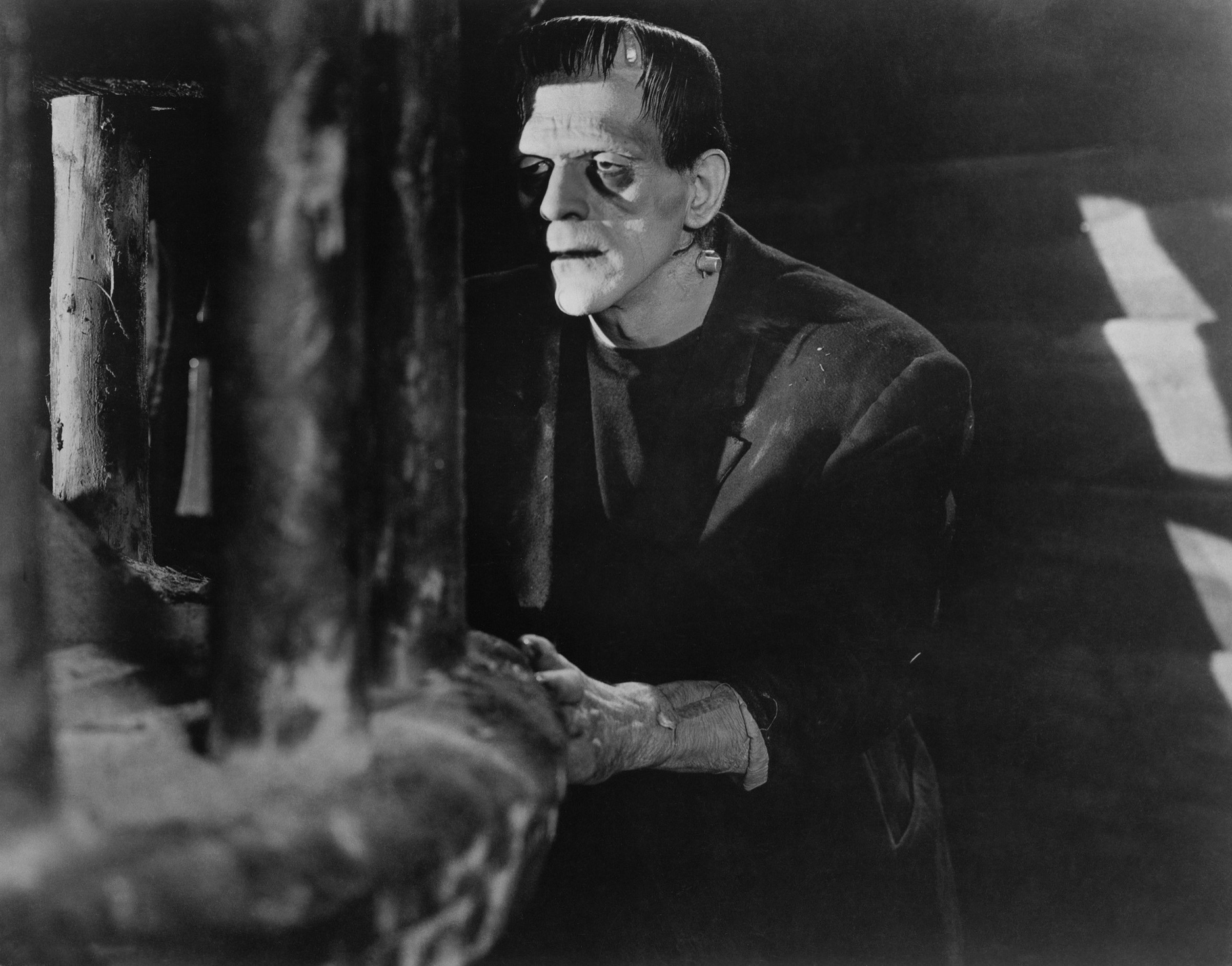 Frankenstein Stills - Classic Movies Photo (19760768) - Fanpop1874 x 1470