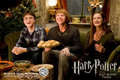 Harry,Ron and Ginny - harry-potter photo